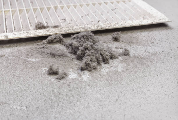 Best Affordable HVAC Duct Cleaning  in Timberne, LA