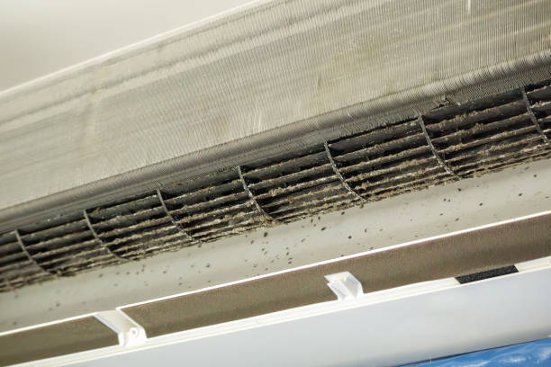 Affordable HVAC Duct Cleaning in Timberlane, LA